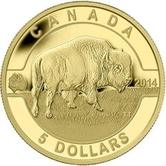 2014 $5 O Canada - Bison 1/10thoz. Pure Gold